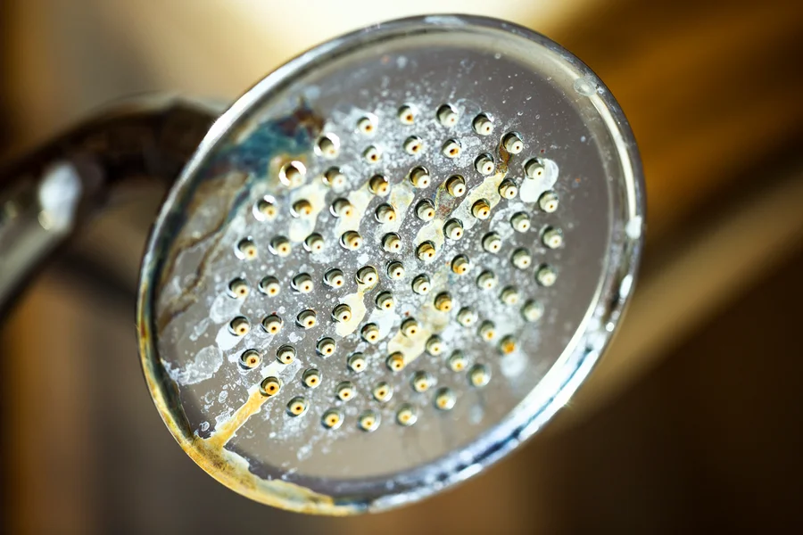 Shower head with hard water deposit stains in Wilson, NC